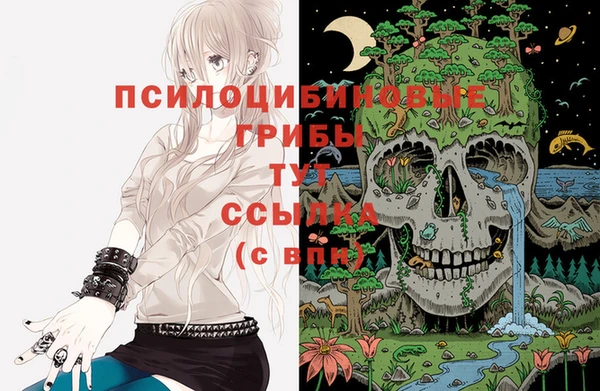 ALPHA-PVP Беломорск