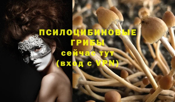 винт Белоозёрский